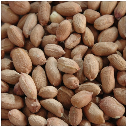 Cacahuètes crues sans peau - Maxinuts